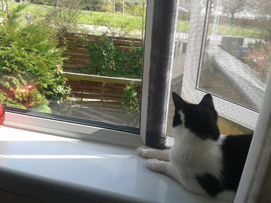 Amy in Glasgow enjoying Flat Cats
